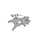 普段使い ねこ（個別スタンプ：22）