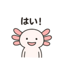 社畜ウーパールーパー（個別スタンプ：5）