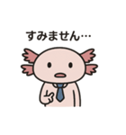 社畜ウーパールーパー（個別スタンプ：19）