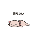 社畜ウーパールーパー（個別スタンプ：26）