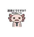 社畜ウーパールーパー（個別スタンプ：29）