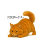 元気いっぱい茶トラ猫（個別スタンプ：2）