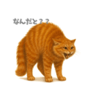元気いっぱい茶トラ猫（個別スタンプ：3）