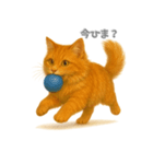 元気いっぱい茶トラ猫（個別スタンプ：4）