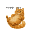 元気いっぱい茶トラ猫（個別スタンプ：5）