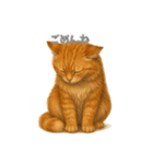 元気いっぱい茶トラ猫（個別スタンプ：6）