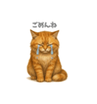 元気いっぱい茶トラ猫（個別スタンプ：8）