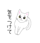 じゅたさんのスタンプ（個別スタンプ：13）