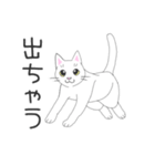 じゅたさんのスタンプ（個別スタンプ：20）