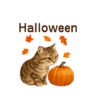 秋の花を贈るねこ♡Halloween Autumn cat（個別スタンプ：1）