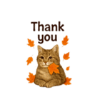 秋の花を贈るねこ♡Halloween Autumn cat（個別スタンプ：7）