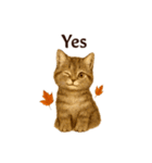 秋の花を贈るねこ♡Halloween Autumn cat（個別スタンプ：10）