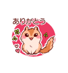 動く！シマリスのララミー（個別スタンプ：3）