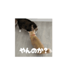 サビ猫のペニーちゃんとお友達（個別スタンプ：9）