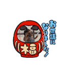 流石の陽向（個別スタンプ：3）