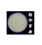 顕微鏡の神秘〜日常篇〜（個別スタンプ：2）