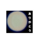 顕微鏡の神秘〜日常篇〜（個別スタンプ：4）