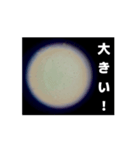 顕微鏡の神秘〜日常篇〜（個別スタンプ：6）