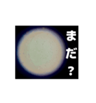 顕微鏡の神秘〜日常篇〜（個別スタンプ：7）