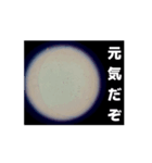 顕微鏡の神秘〜日常篇〜（個別スタンプ：8）