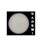 顕微鏡の神秘〜日常篇〜（個別スタンプ：9）