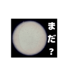 顕微鏡の神秘〜日常篇〜（個別スタンプ：12）