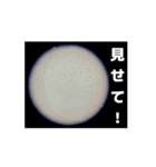 顕微鏡の神秘〜日常篇〜（個別スタンプ：14）