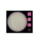 顕微鏡の神秘〜日常篇〜（個別スタンプ：15）