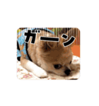 でんずくスタンプ④（個別スタンプ：9）