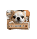 でんずくスタンプ④（個別スタンプ：11）