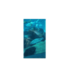 海の水族館（個別スタンプ：3）