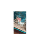 海の水族館（個別スタンプ：6）