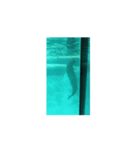 海の水族館（個別スタンプ：7）
