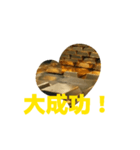 運気が上がる。ポジティブシンキング 金運（個別スタンプ：3）