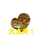 運気が上がる。ポジティブシンキング 金運（個別スタンプ：6）