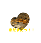 運気が上がる。ポジティブシンキング 金運（個別スタンプ：8）
