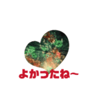 使える返事 綺麗な花火 短いセリフ 便利（個別スタンプ：12）