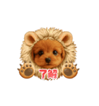 かわいい トイプードル よく使うあいさつ（個別スタンプ：1）