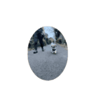 ランRun-乱（個別スタンプ：3）