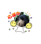 マスコット我有（個別スタンプ：4）