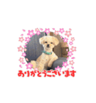 我が家の日常スタンプ♡（個別スタンプ：1）