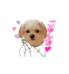 我が家の日常スタンプ♡（個別スタンプ：2）