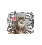 我が家の日常スタンプ♡（個別スタンプ：7）