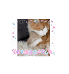 我が家の日常スタンプ♡（個別スタンプ：14）