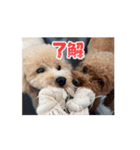 リリー＆ココ（個別スタンプ：8）