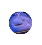え？(魚顔)（個別スタンプ：2）