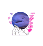 え？(魚顔)（個別スタンプ：6）