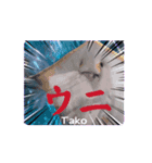 え？(魚顔)（個別スタンプ：9）
