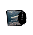 え？(魚顔)（個別スタンプ：11）