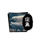 え？(魚顔)（個別スタンプ：12）